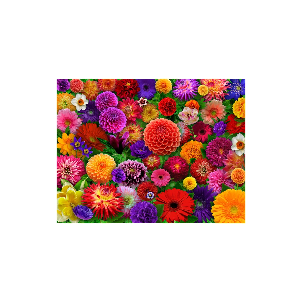 Allied Products Corp : Blooming Every Daisy 500 Puzzle - Image 2