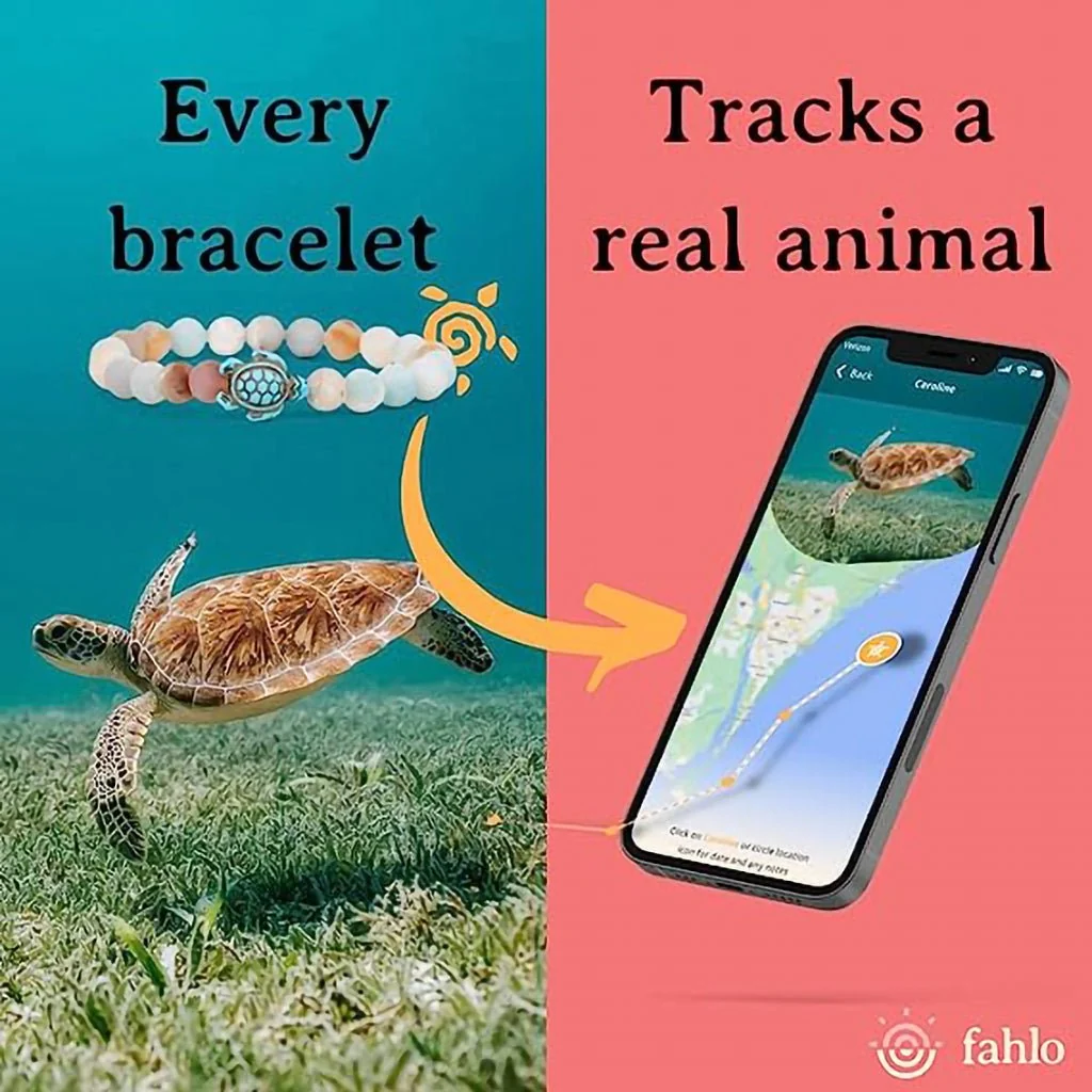 Fahlo : The Voyage Bracelet in Deep Blue - Shark - Image 2