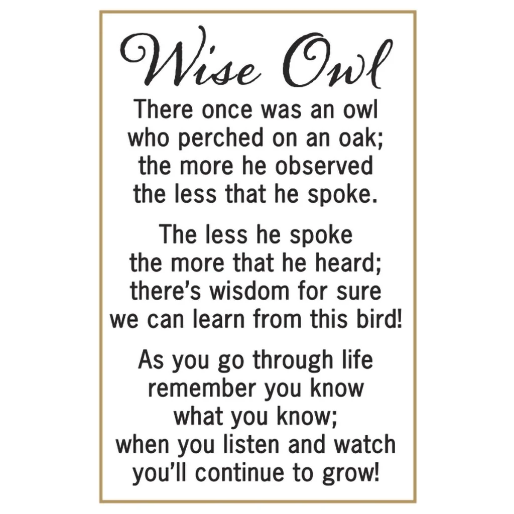 Ganz : Wise Owl Stone Charm - Image 2