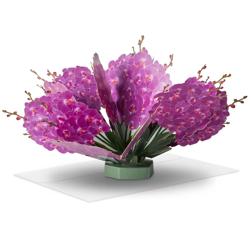 Hallmark : Build-a-Bouquet Pop-Up Paper Flowers - Image 9
