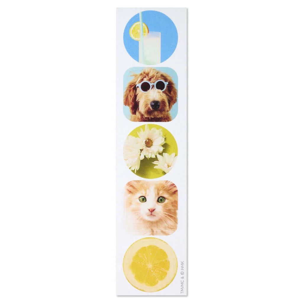 Hallmark : Dog and Cat Just Because Cards Pack With Stickers - Image 5