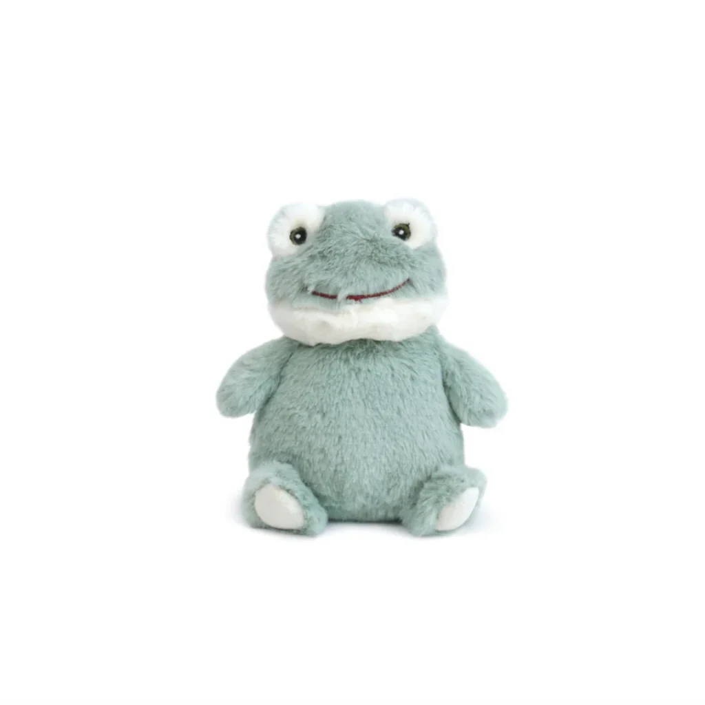 Mon Ami : Fritz Petit Frog