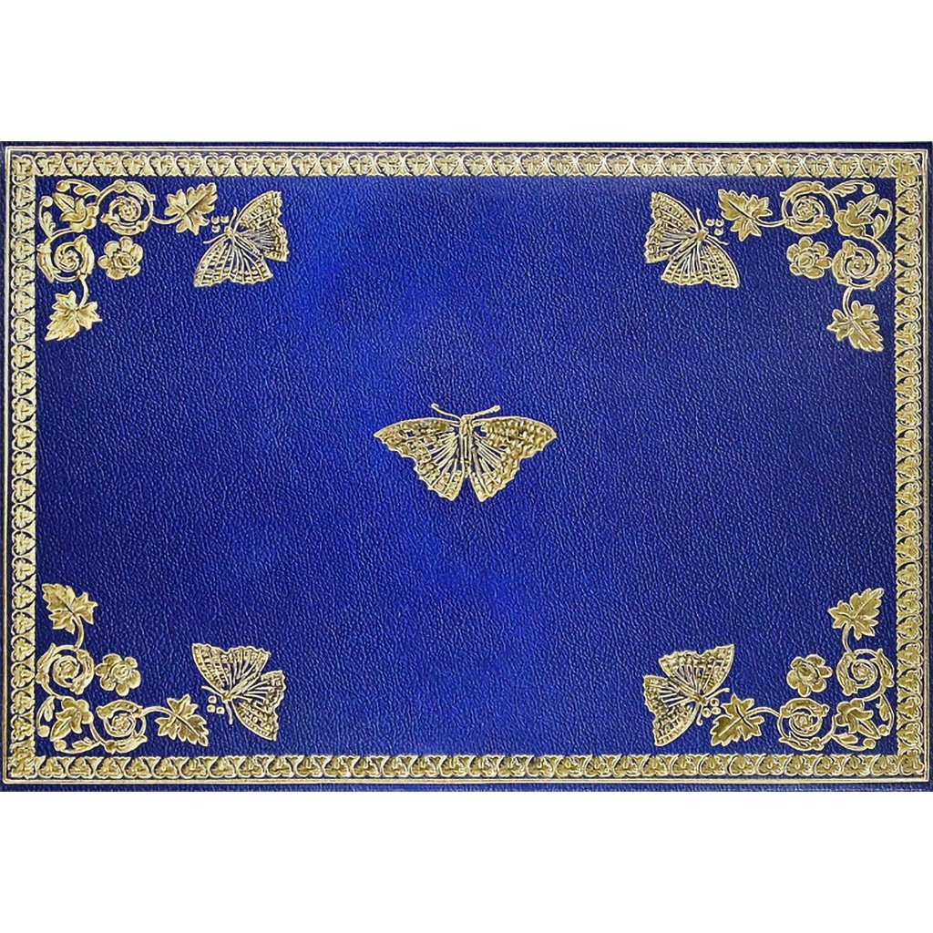 Peter Pauper Press : Note Cards - Gilded Butterflies